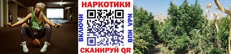 Купить наркотик Псков Альфа ПВП  Конопля  Кокаин 