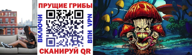 Псилоцибиновые грибы Psilocybine cubensis  магазин  наркотиков  Псков 