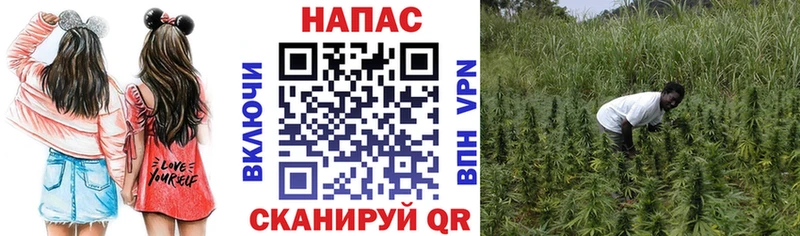 купить  цена  Псков  Конопля THC 21% 